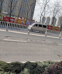 又被路上大坑给坑爆胎了,椒江枫南东路,大家路过小心