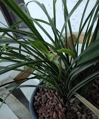 �������˺���