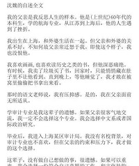上海网红流浪汉沈巍自述全文,红星新闻采访报道