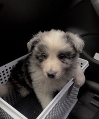 ����45���ˣ�����Ҳ���ˣ�����Ҳ���ˣ��������˴���