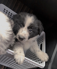 ����45���ˣ�����Ҳ���ˣ�����Ҳ���ˣ��������˴���