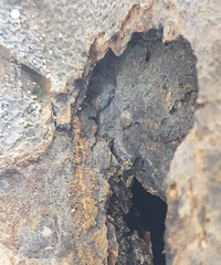 ����V5.5��ĳ�����ʻ����������ó������ˣ������Ͷ��4S