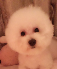 ûʱ�����ˣ�����һֻ���Ҹ����˼�