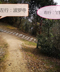 九峰/方山双塔/老鼠沿杠/丫髻岩 小环线穿行