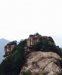 ��������Ͽ�� ������