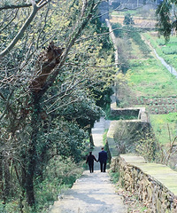 ��ĸ��������Ů��õĽ�����ʽ