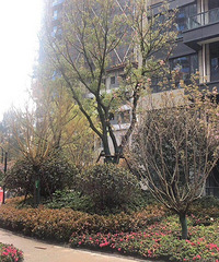 ���ò�����õ��̻� ���Ż���