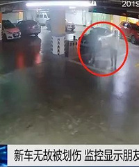 ����ɶ�����ӻ�����������ı�������˵��Ը����Ҳ���⳥��