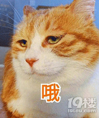 ������������ʽ��������ˣ���Ӱ����ĺø�ô��