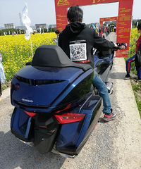 ˭֪���⼸����ʲôƷ�Ƶ�Ħ�У�