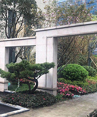 ���ò����̻� ���Ż���