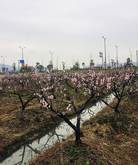 ���۸��᡿����һ��ֽ�����ϰ�Ҳ������10����