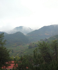 ���۸��᡿2019�������Ů�������ܲ��������ߣ�