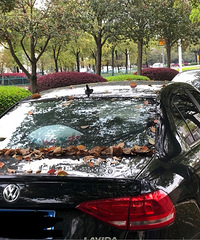 ���������ġ�����Ҳ�����＾Ϊ������ô��Ҷ��