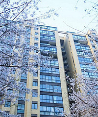 ����һ��С��ӣ����