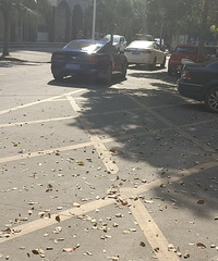 ���������ġ�˧����supreme��logol