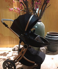 ����ȫ��Ӥ���Ƴ�һ��