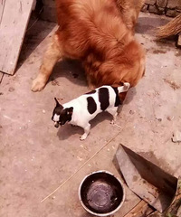 �ռ�����