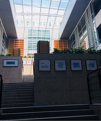 ���۸��᡿�������ߵ���Բ�ȣ������ʽ���ϡ�����ö���