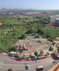 ����1.375�ڣ�Լ155Ķ��������������Сѧ�Եؿ�Ԥ��5���ٳ���