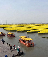 ��ǧ���Ͳ˻�ȥ ��⼫��