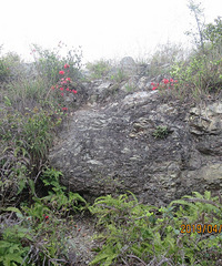 ����ߪ����̶� ɽ���������ɽ