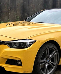 ���������ɫ����