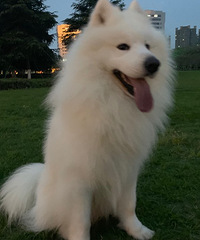 2�����Ħ��Ů����