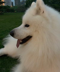 2�����Ħ��Ů����