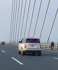 ���������ġ����˿���ɫ��·�� ��ɧ����