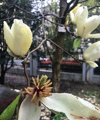 ���۸��᡿����һ�ٽд��ƺ�����ô��