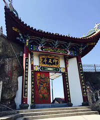 杜鹃花观赏好去处 温岭上保山 黄岩太湖山 三门等等
