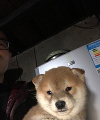 ������۾�Ʒ��Ȯ