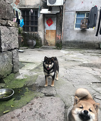 ������۾�Ʒ��Ȯ