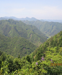 ͽͷܼ-Ϫӹ· ̽̿ͷȺ