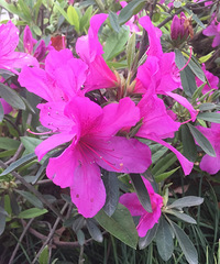 ���۸��᡿����Ȧ��Щ��ױƷ���ǻ�����