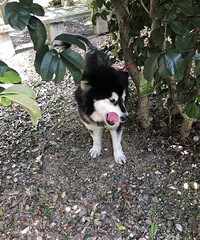 Ѱ������������