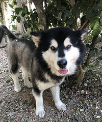 Ѱ������������