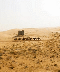 ��������ƬɳĮ �о��Լ�����С