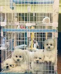 ����1000�͹��빷������һ�ױ��ؼ�