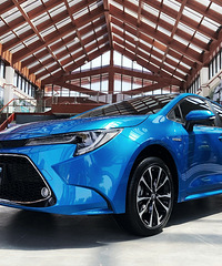 Lovin��Levin�� �Ͱ����裡 ����ȫ�»�������Ʒ����Բ����Ļ