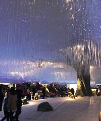 ���۸��᡿��λ��֯����˫ѡ�����ο���Ǯ�����ѡ�ĸ���