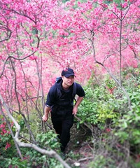 �ž黨���ͺ�ȥ�� Զ�������ƺ�