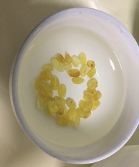 ������Ʒ���佺ԭ���ף�ÿ��һ��������һ����