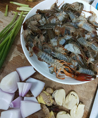 �Լ�����Ϻ��ȥͷ����Ȼ��һֻֻˢ�ɾ�