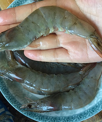 �������׷�˿�����ؿ�Ϻ Ϻ���Կ��ǵ�����