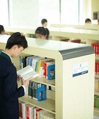 ��ʦ����2019����������