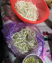 ���۸��᡿���ǳԶ�ѿ�˻�ȥͷβ��