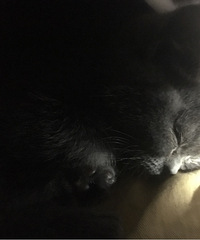 ��˵è����ˣ����ҵĹԹ�