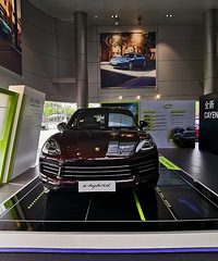 ȫ�� Cayenne E-Hybrid  ���Ĳ���